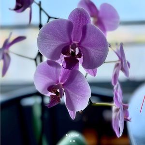 Meet your Posher, Robin